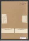 Diatomeae indet. Zeichnungen Sammlung Grunow Nr. 6277 (NHMW-BOT-W0374887)